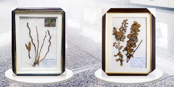 鍋爐-螺紋管-翅片管「新鄉(xiāng)市新能鍋爐有限公司」